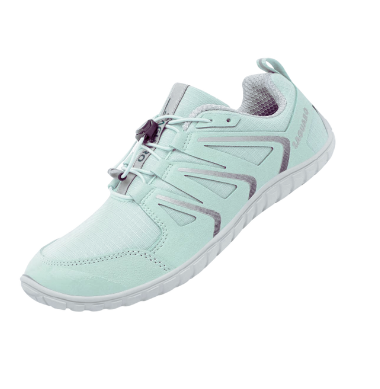 FORESTEP I