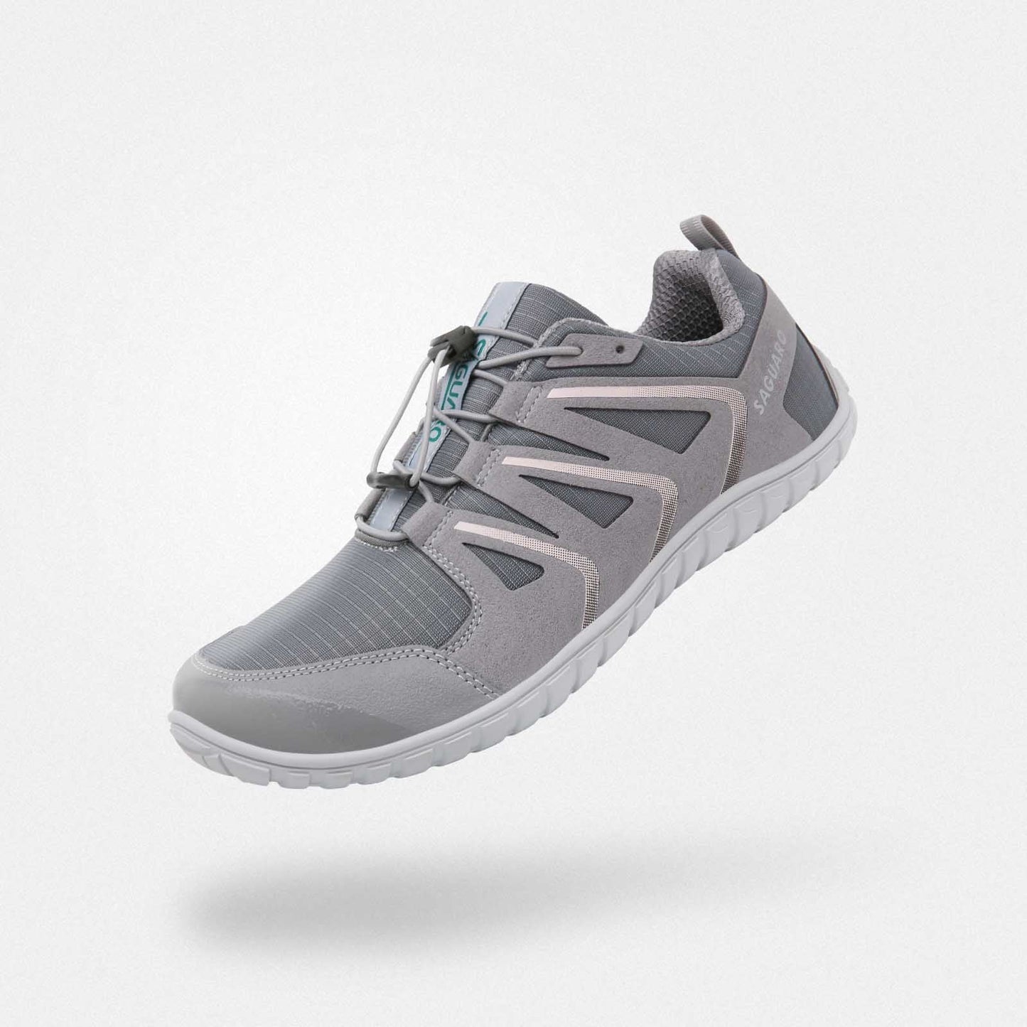 FORESTEP I